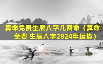 算命免费生辰八字几两命（算命免费 生辰八字2024年运势）